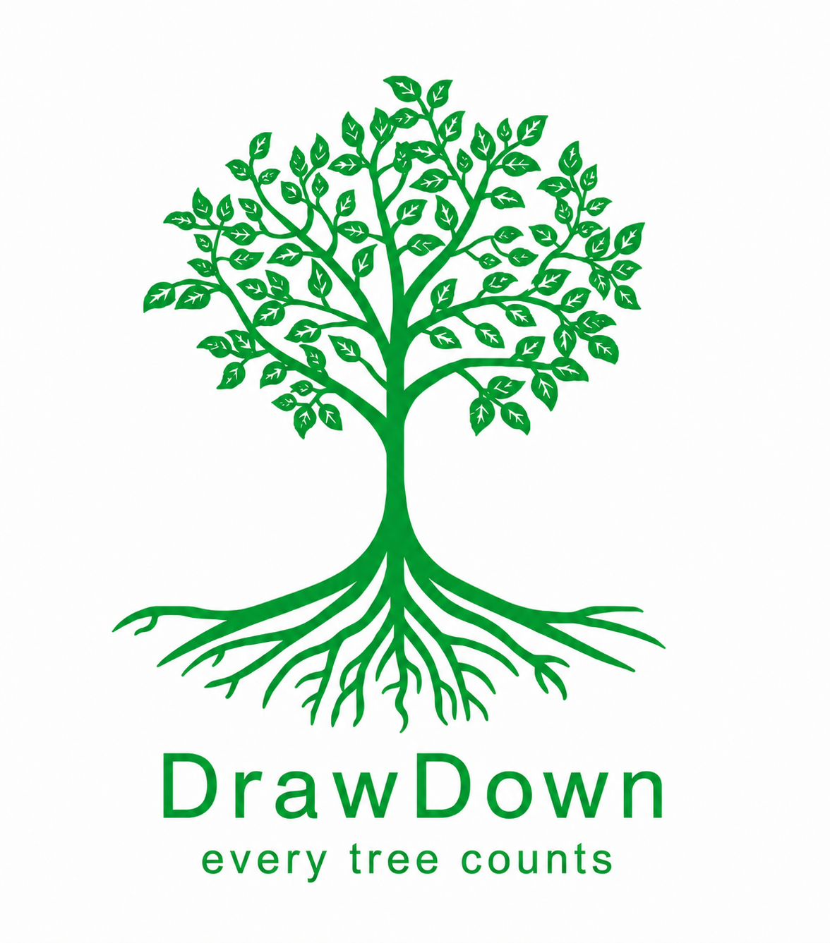 DrawDown Co